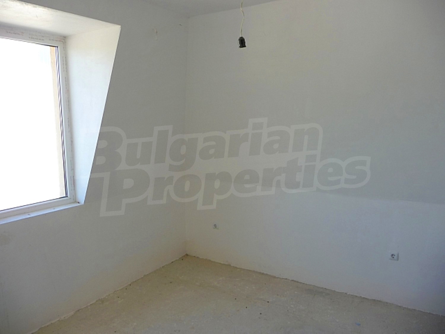 Gallery Picture 23
