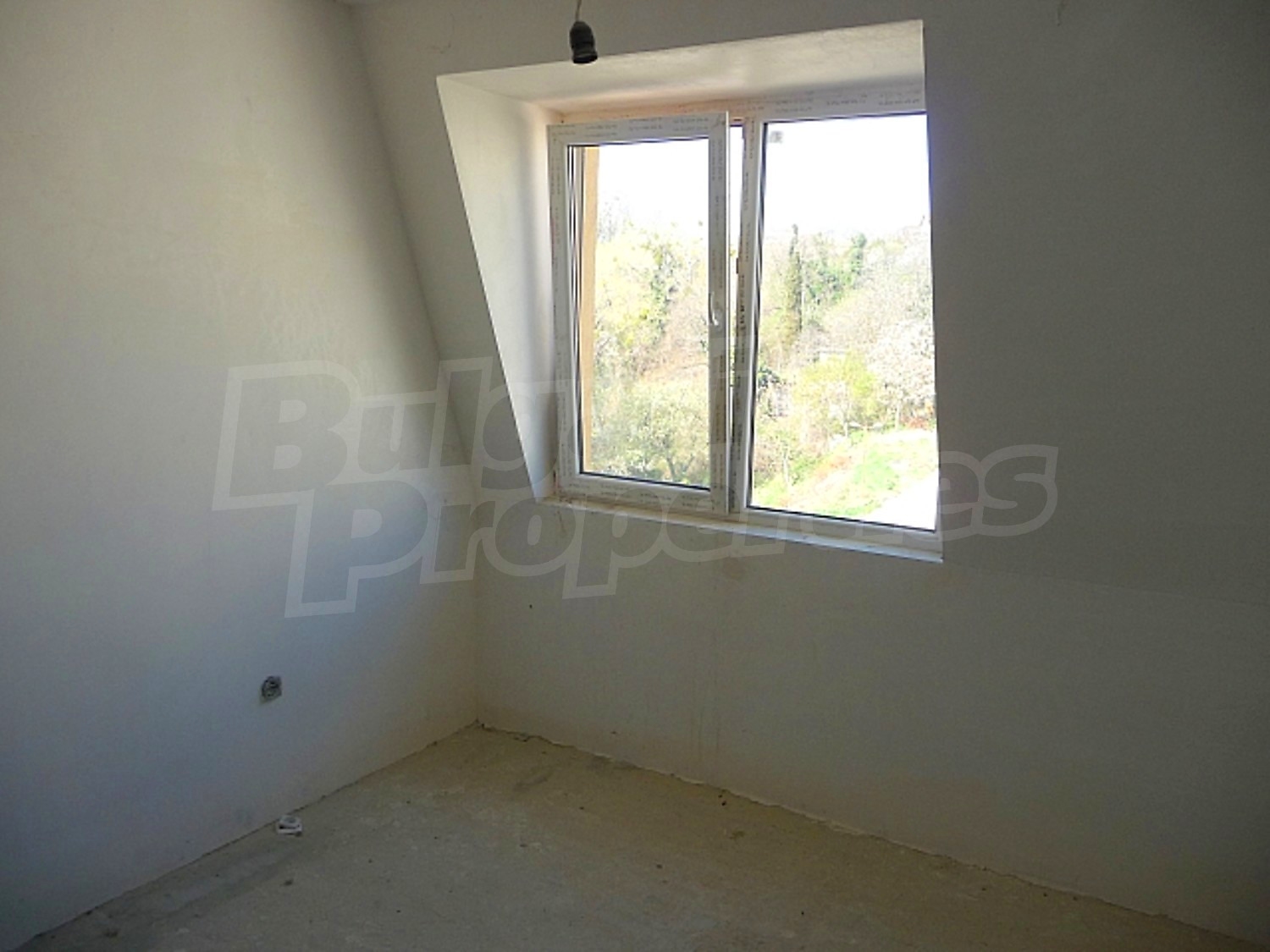 Gallery Picture 24