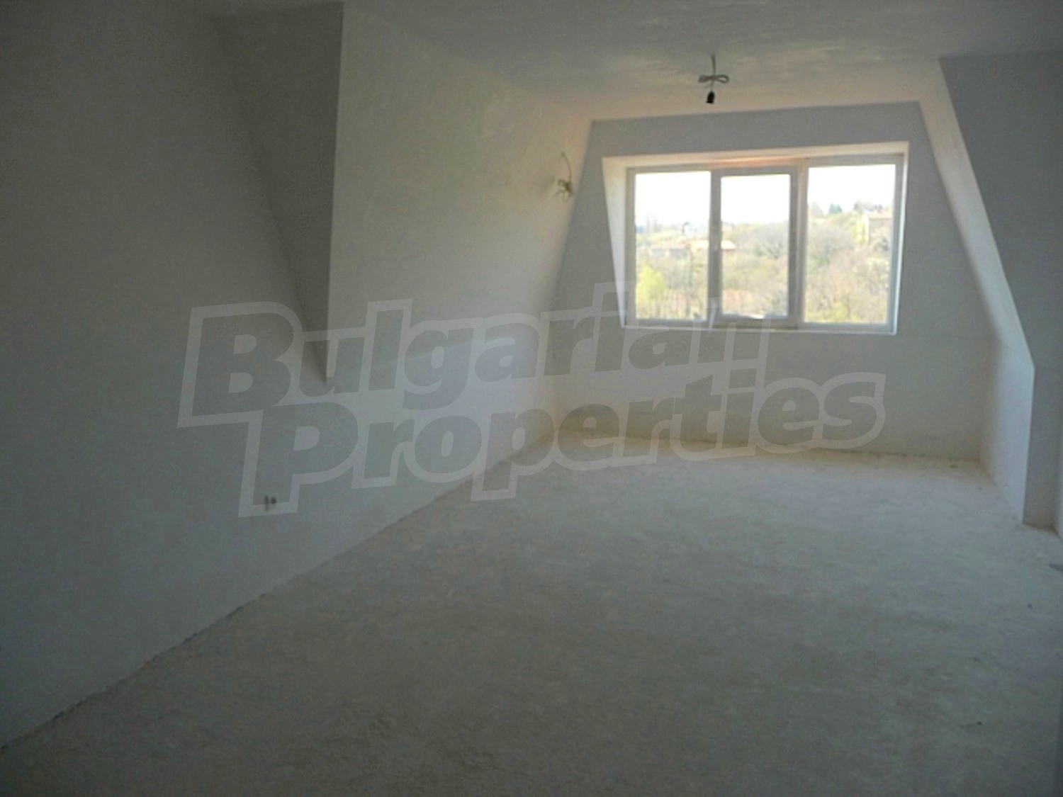 Gallery Picture 8