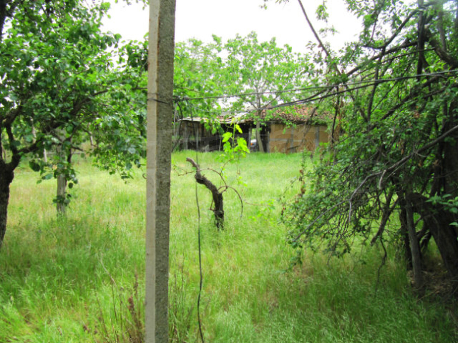 Gallery Picture 11