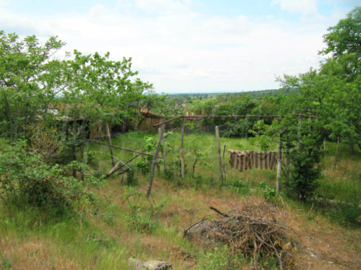 Gallery Picture 18