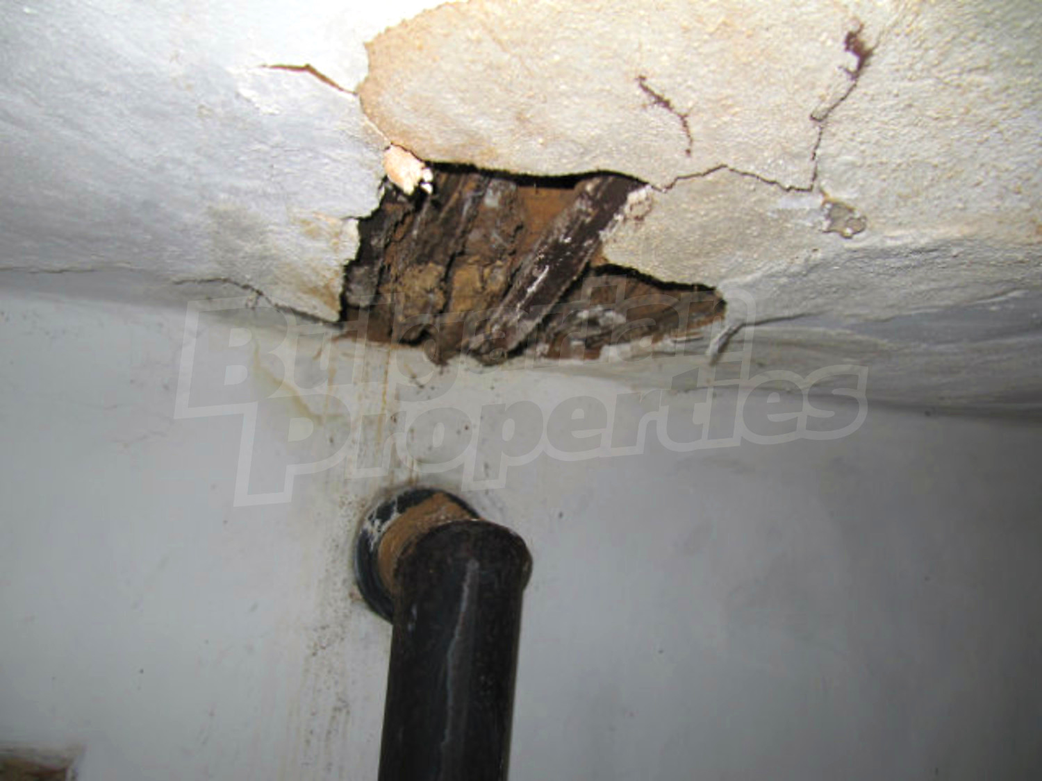 Gallery Picture 22