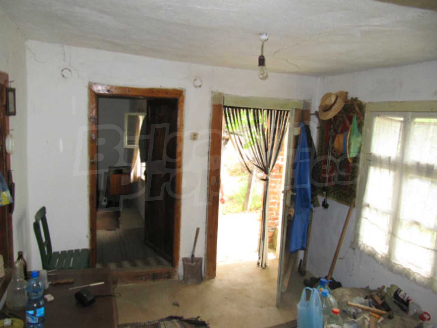Gallery Picture 23