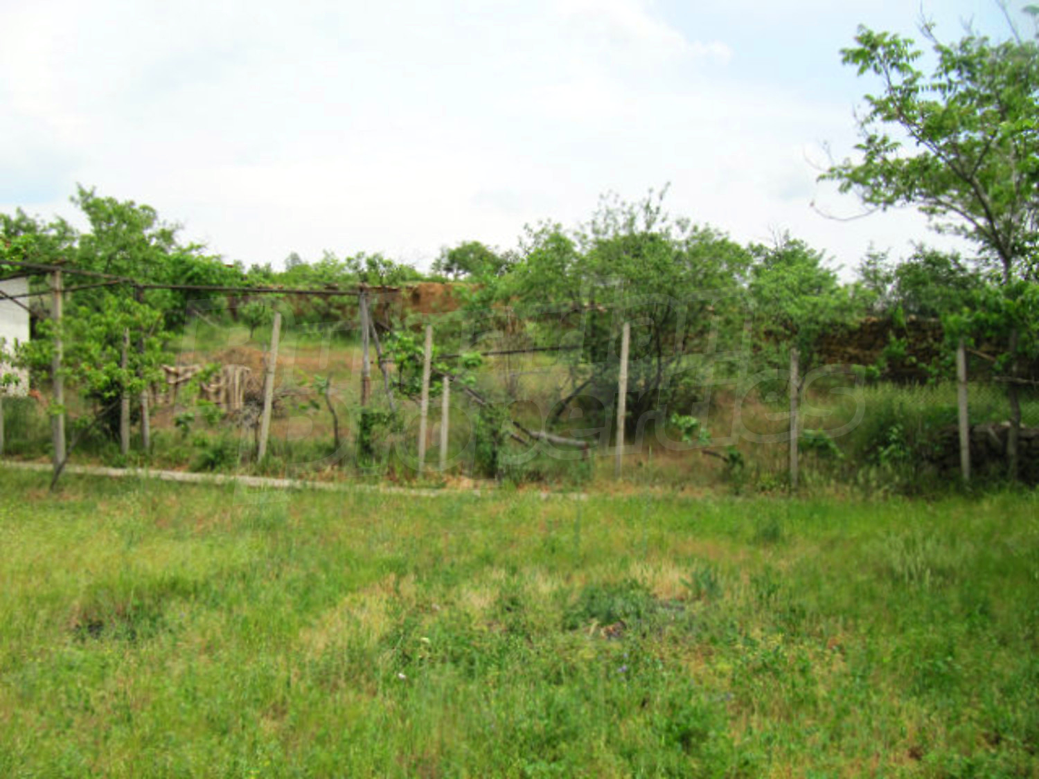 Gallery Picture 6