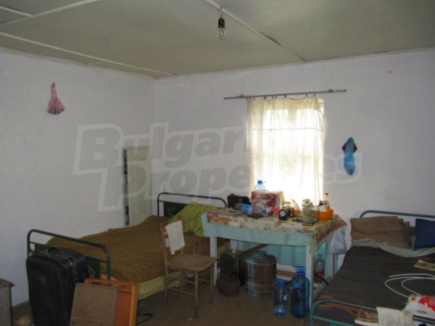 Gallery Picture 31