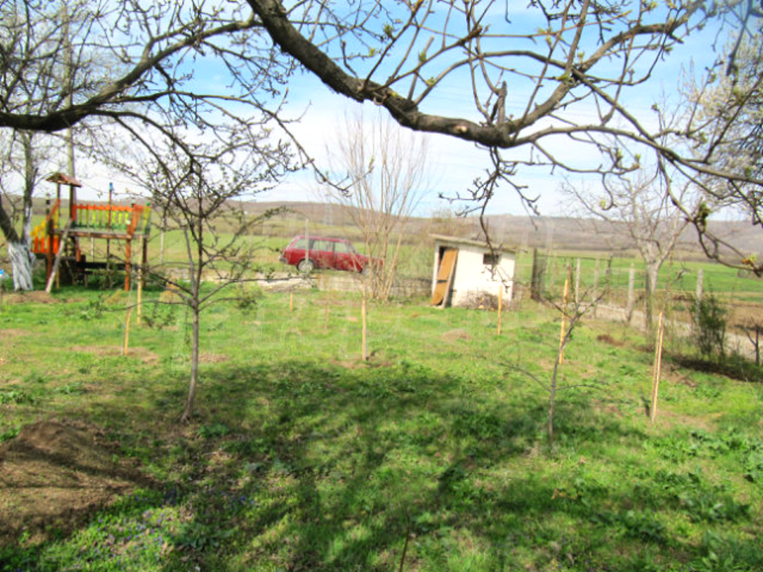 Gallery Picture 11