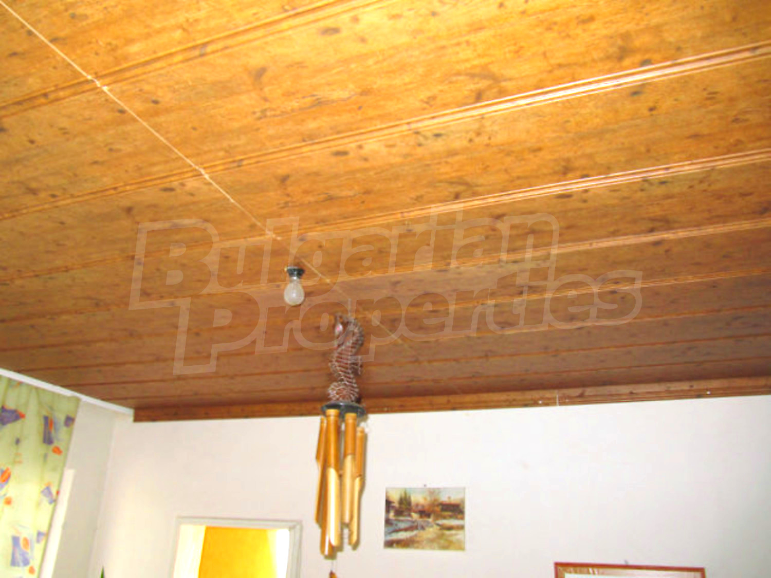 Gallery Picture 22