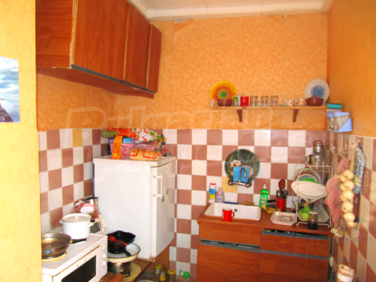 Gallery Picture 25