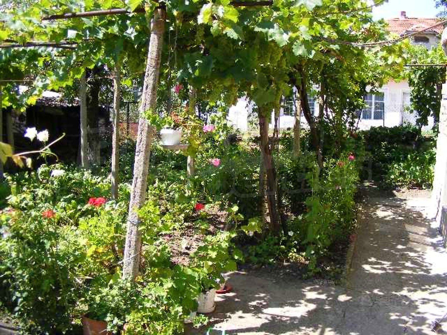 Gallery Picture 31