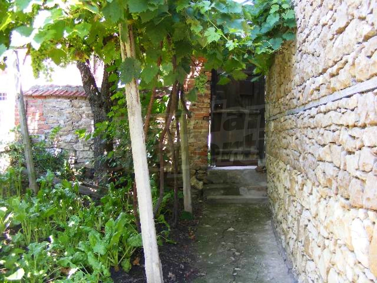Gallery Picture 33