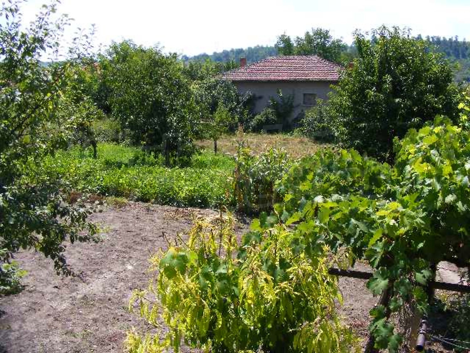 Gallery Picture 35