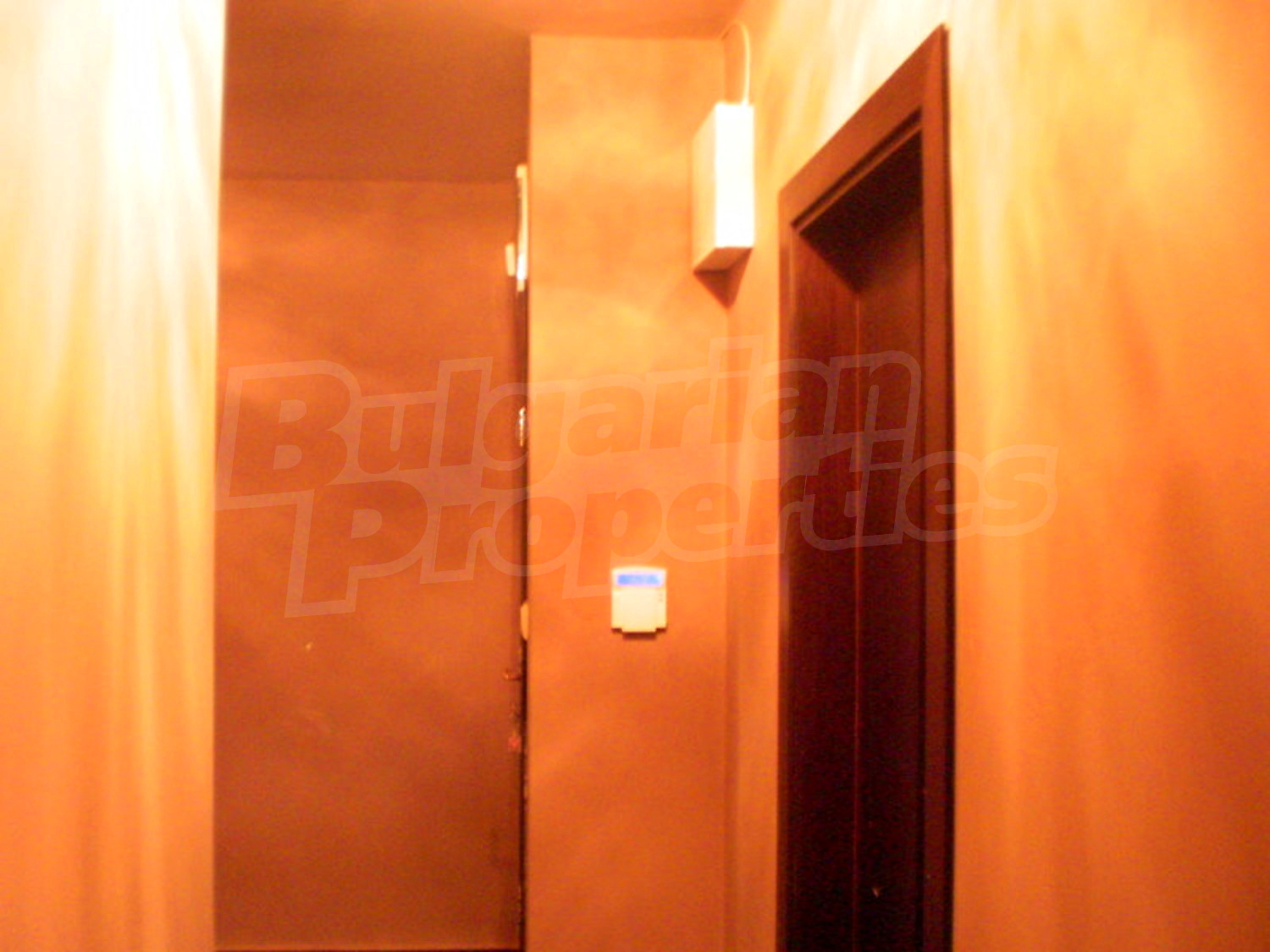 Gallery Picture 21
