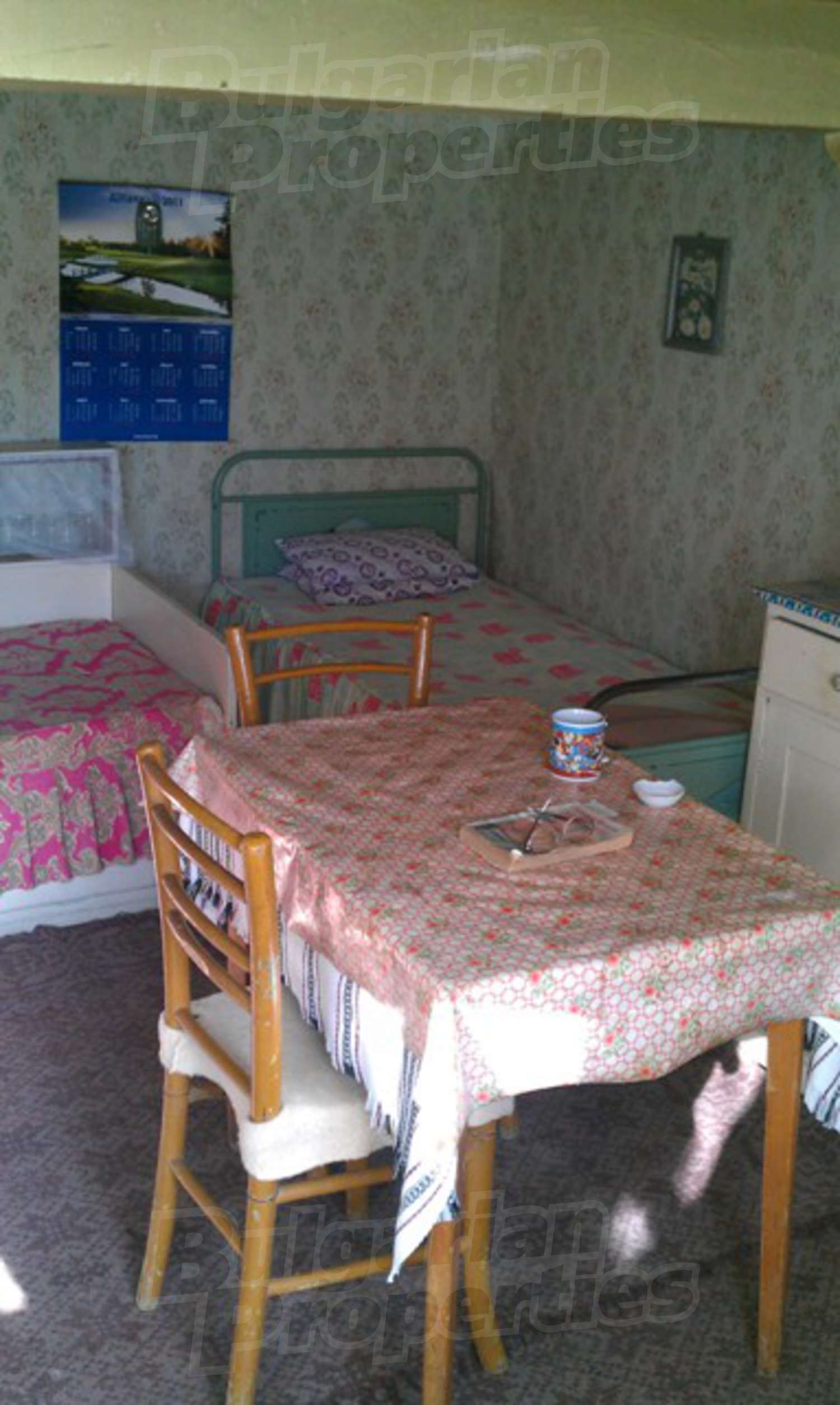 Gallery Picture 15