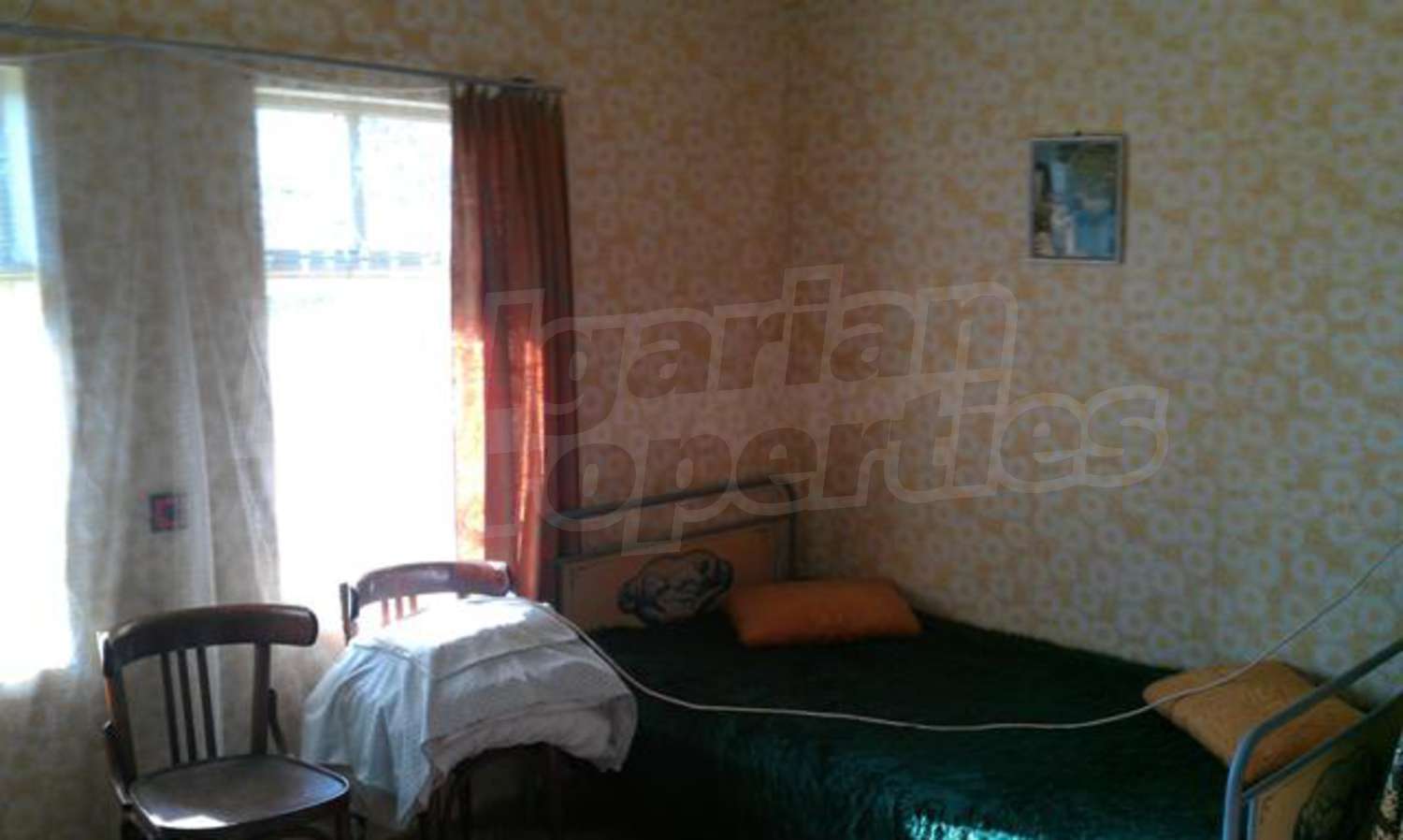 Gallery Picture 19