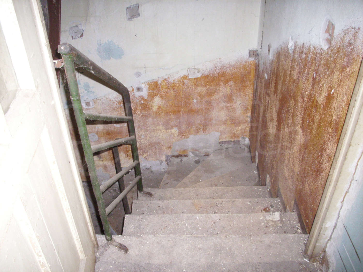 Gallery Picture 10