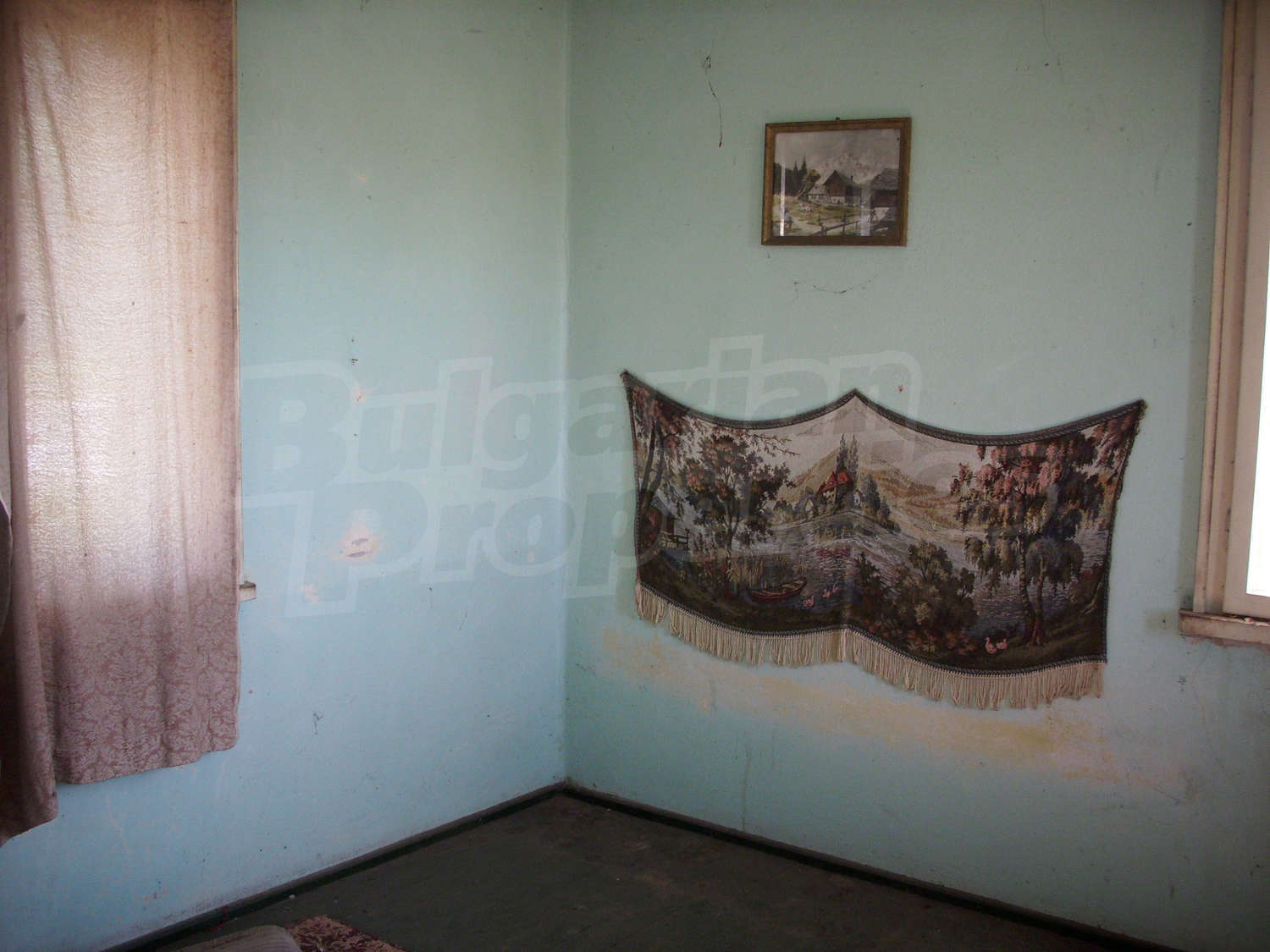 Gallery Picture 11