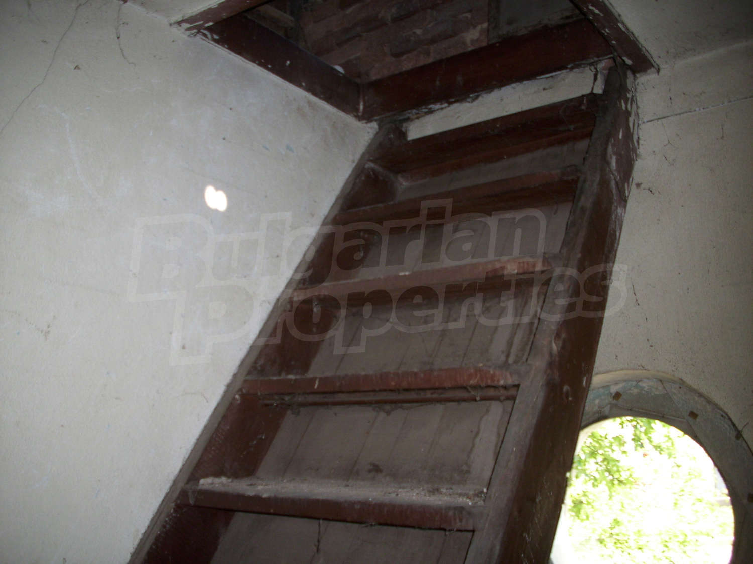 Gallery Picture 15