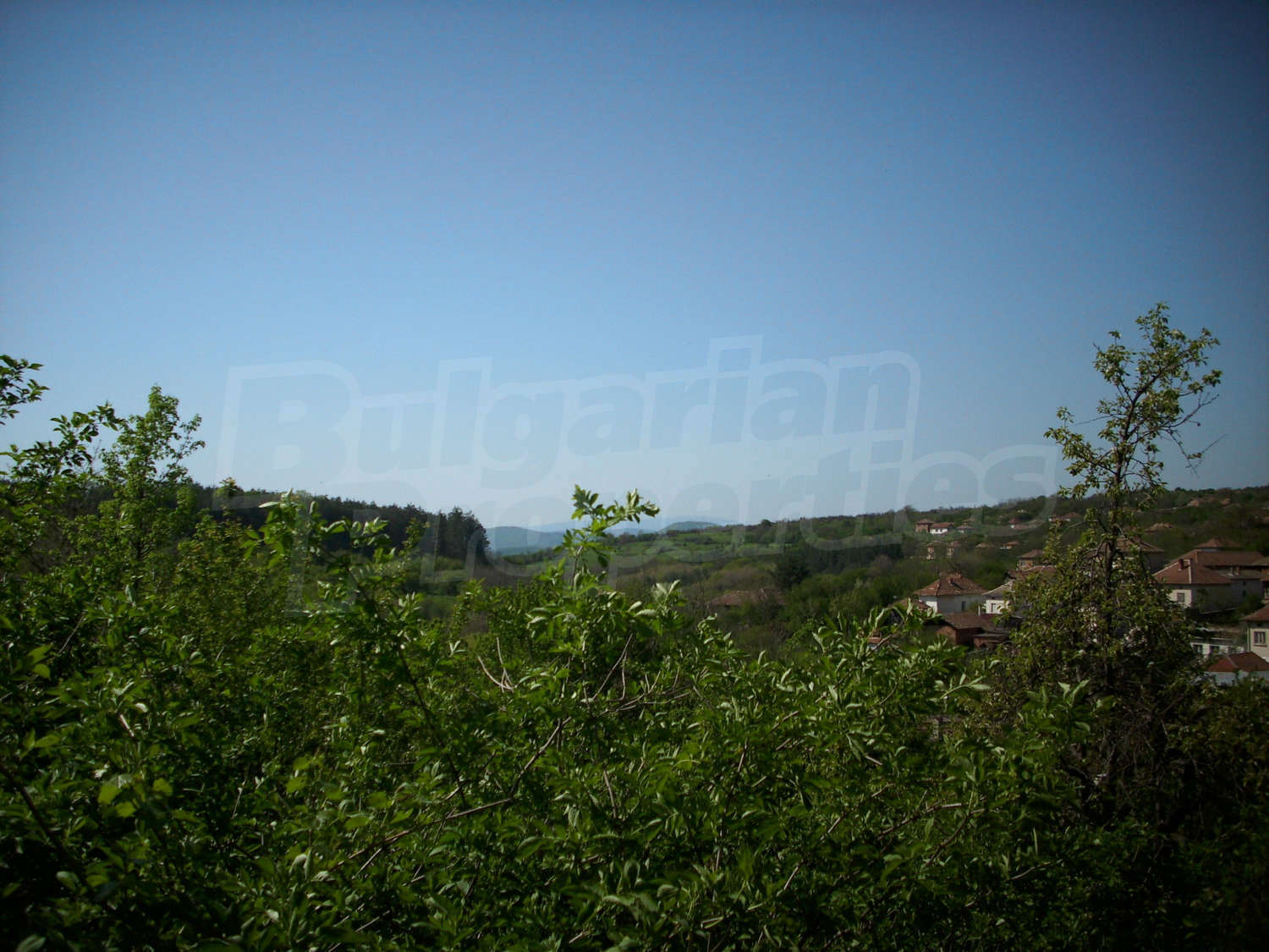 Gallery Picture 18