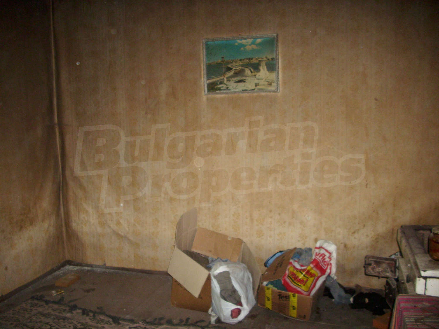 Gallery Picture 6