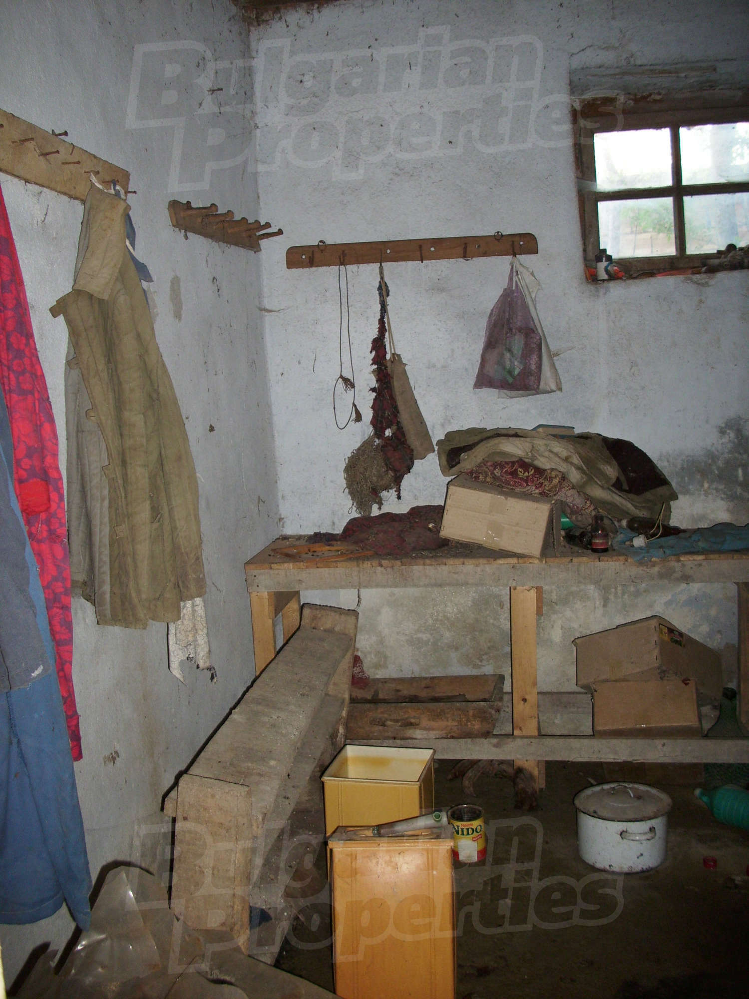 Gallery Picture 9