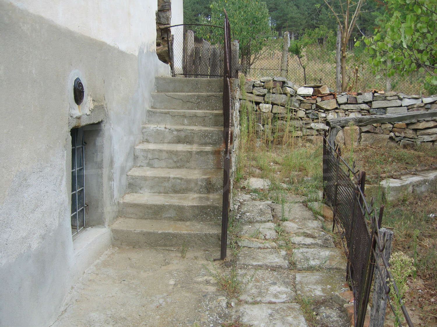 Gallery Picture 19