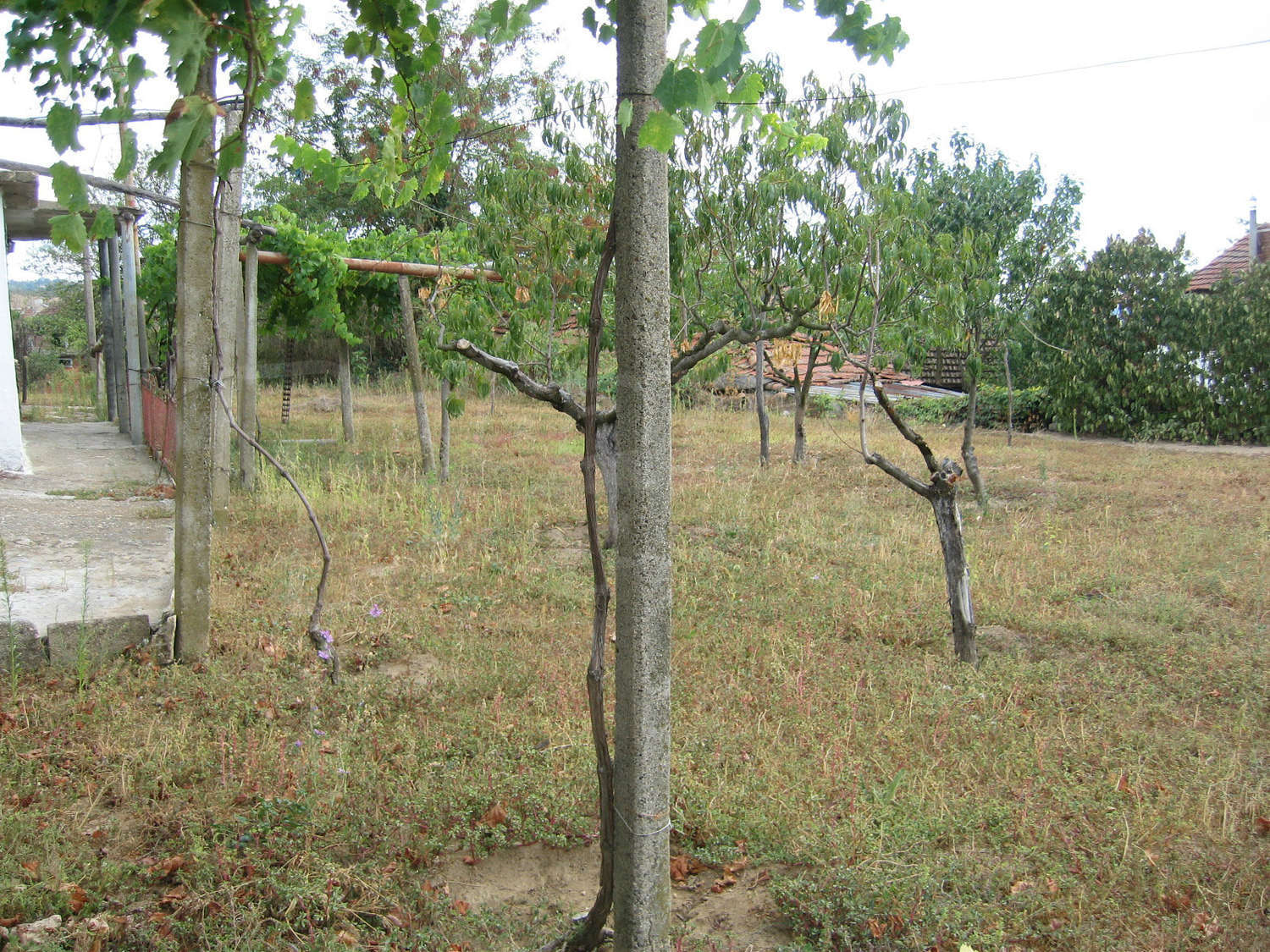 Gallery Picture 21
