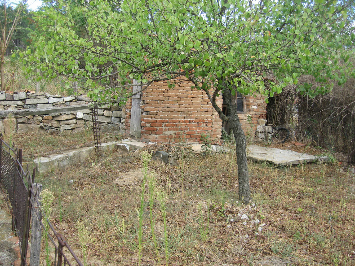 Gallery Picture 23