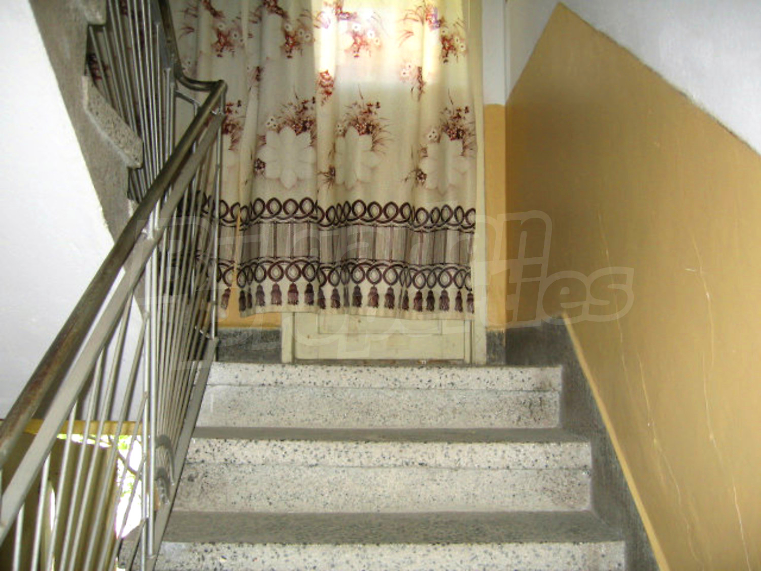 Gallery Picture 10