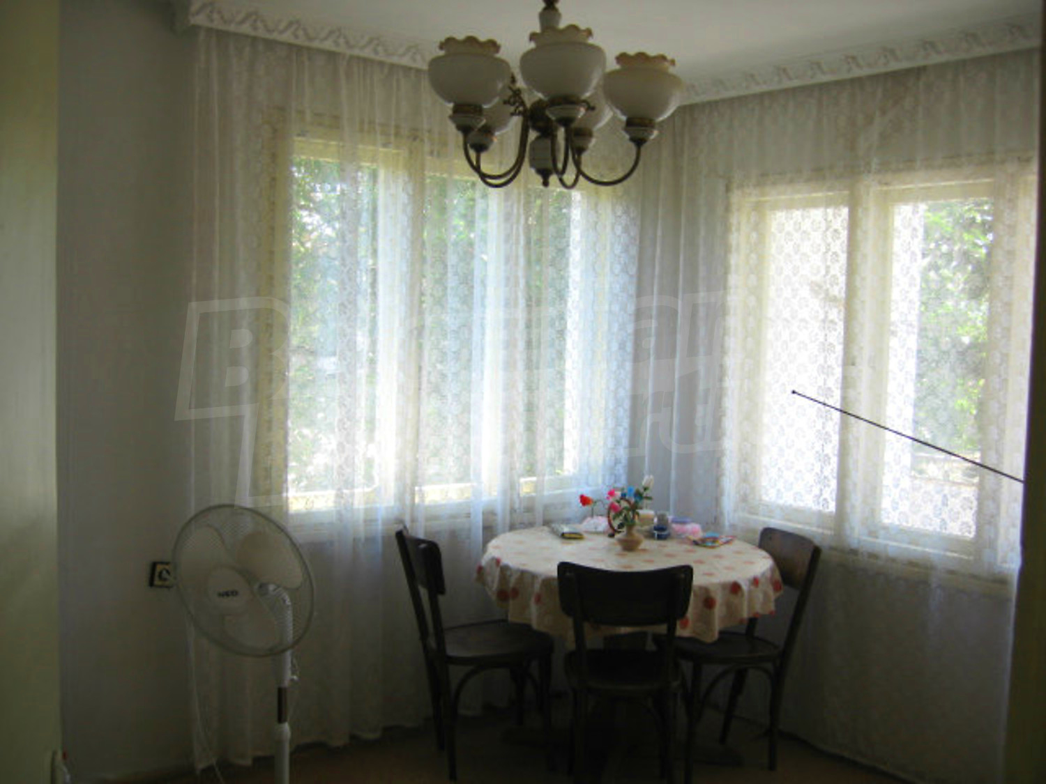 Gallery Picture 12