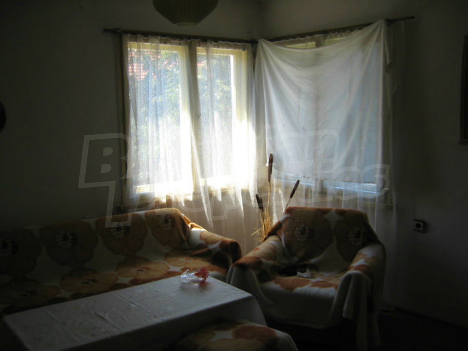 Gallery Picture 13
