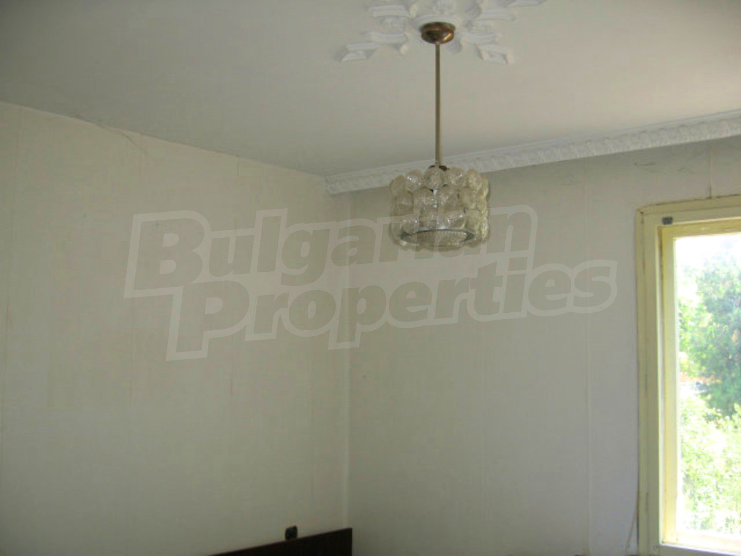 Gallery Picture 14