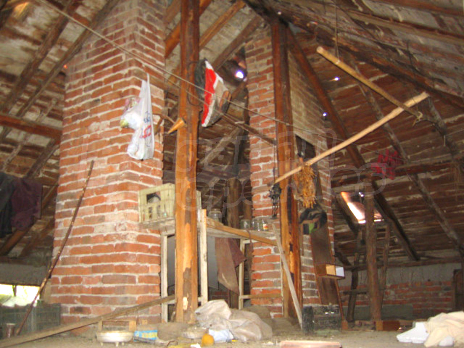 Gallery Picture 17