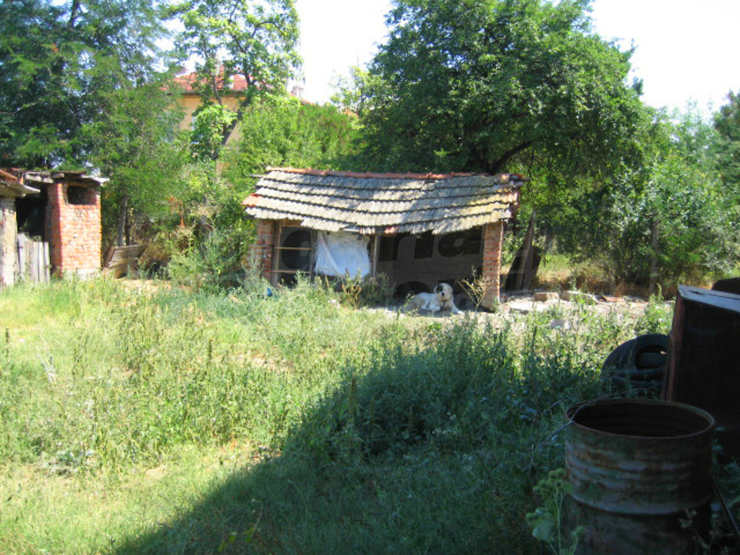 Gallery Picture 20