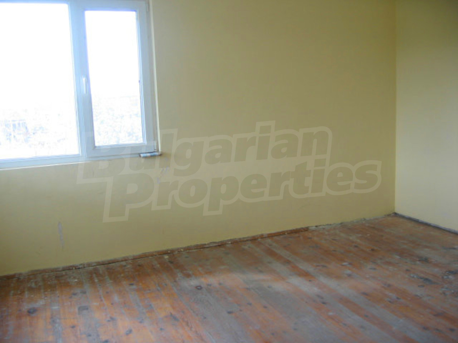 Gallery Picture 13