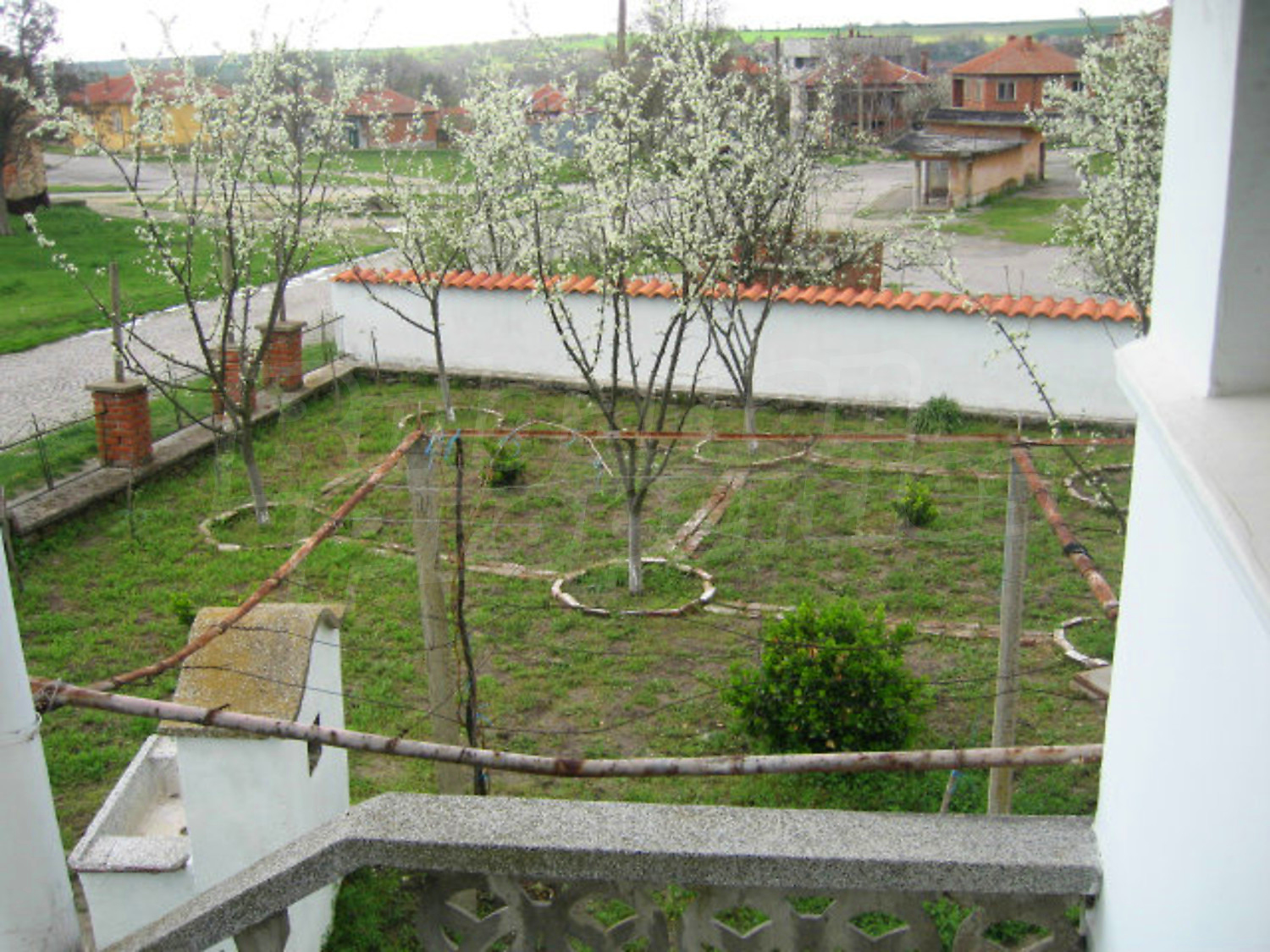 Gallery Picture 18
