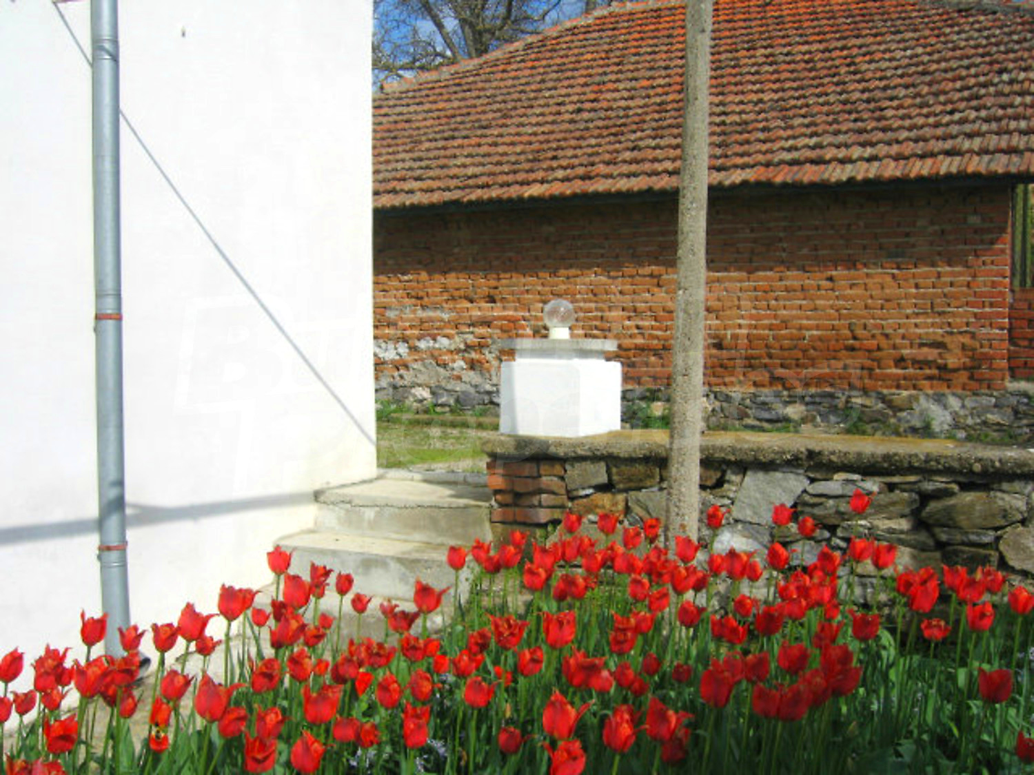 Gallery Picture 30