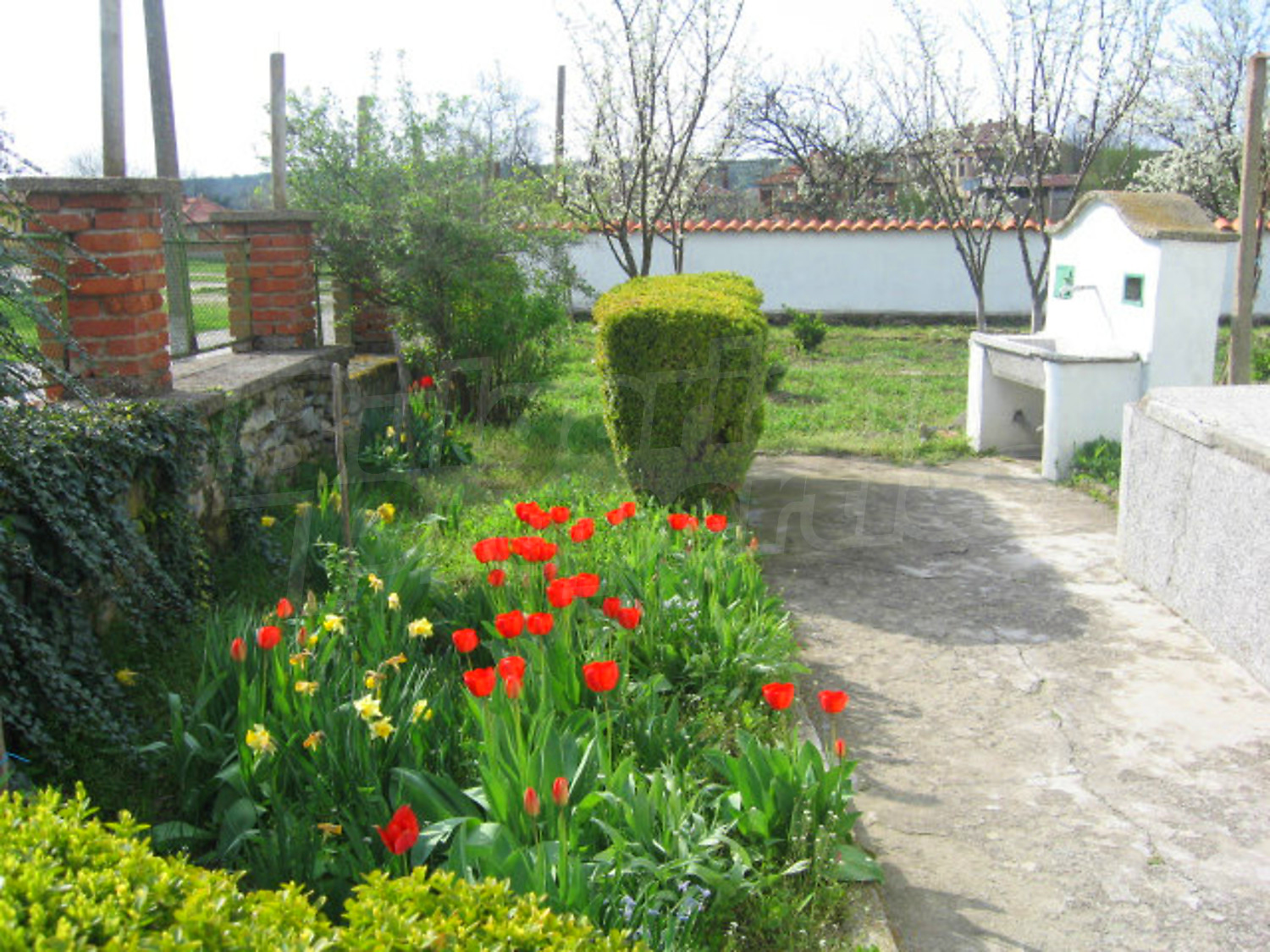 Gallery Picture 31