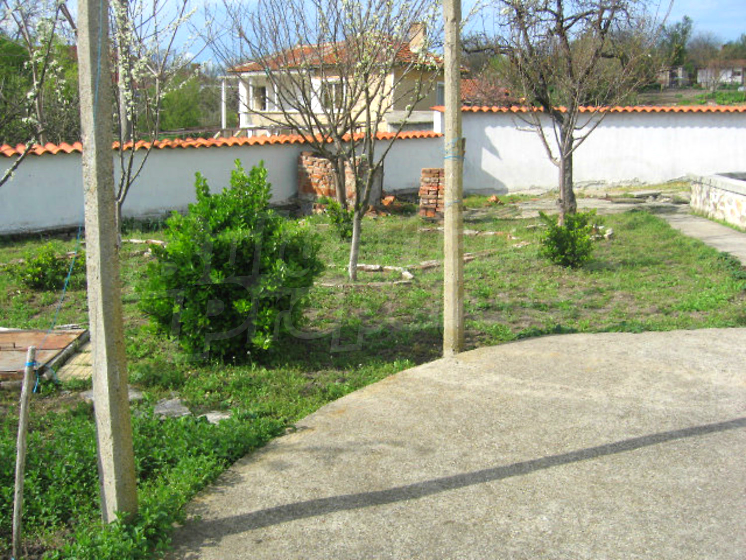 Gallery Picture 35