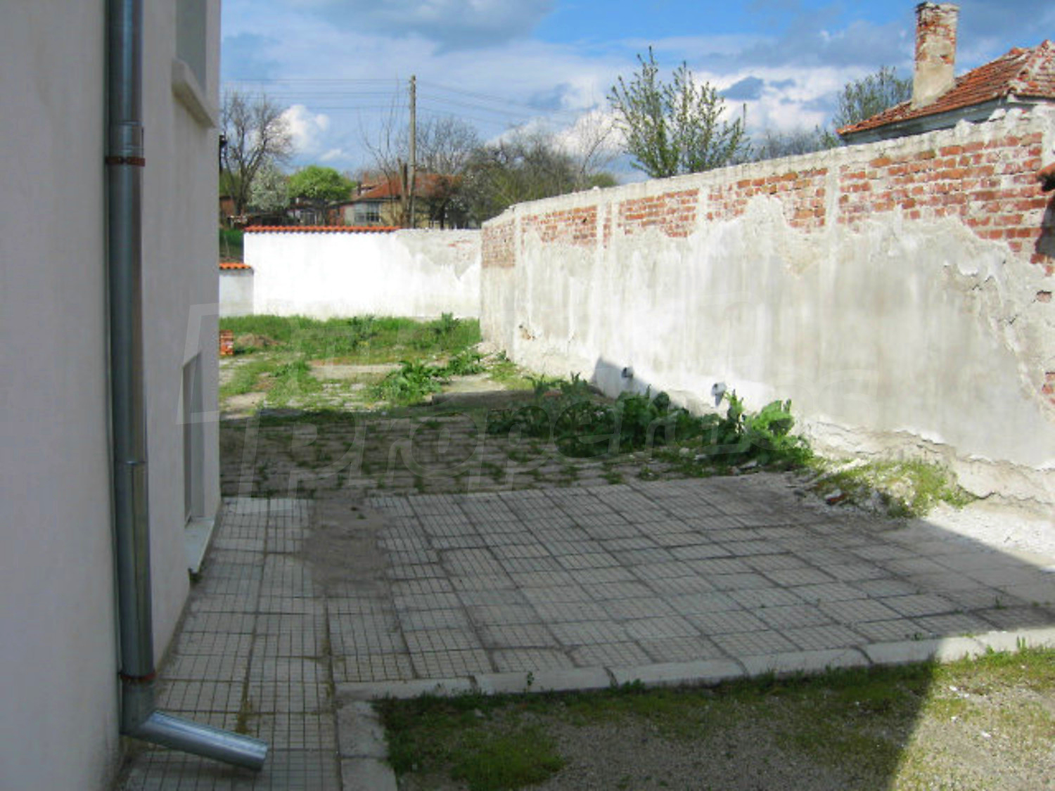 Gallery Picture 48