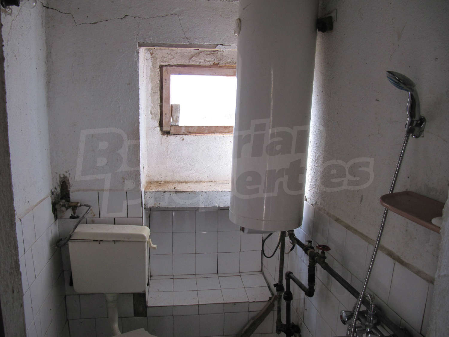 Gallery Picture 5