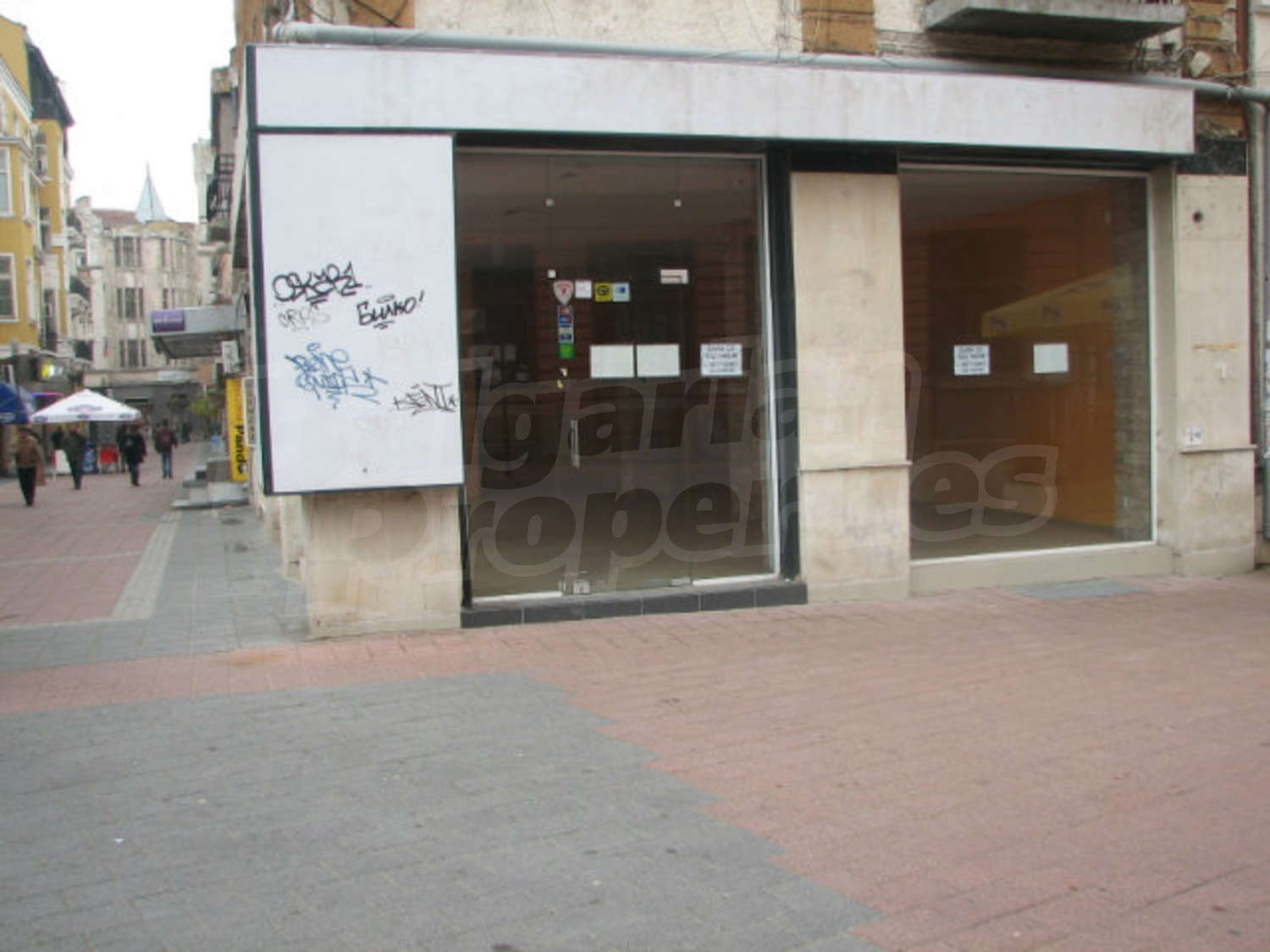 Gallery Picture 3
