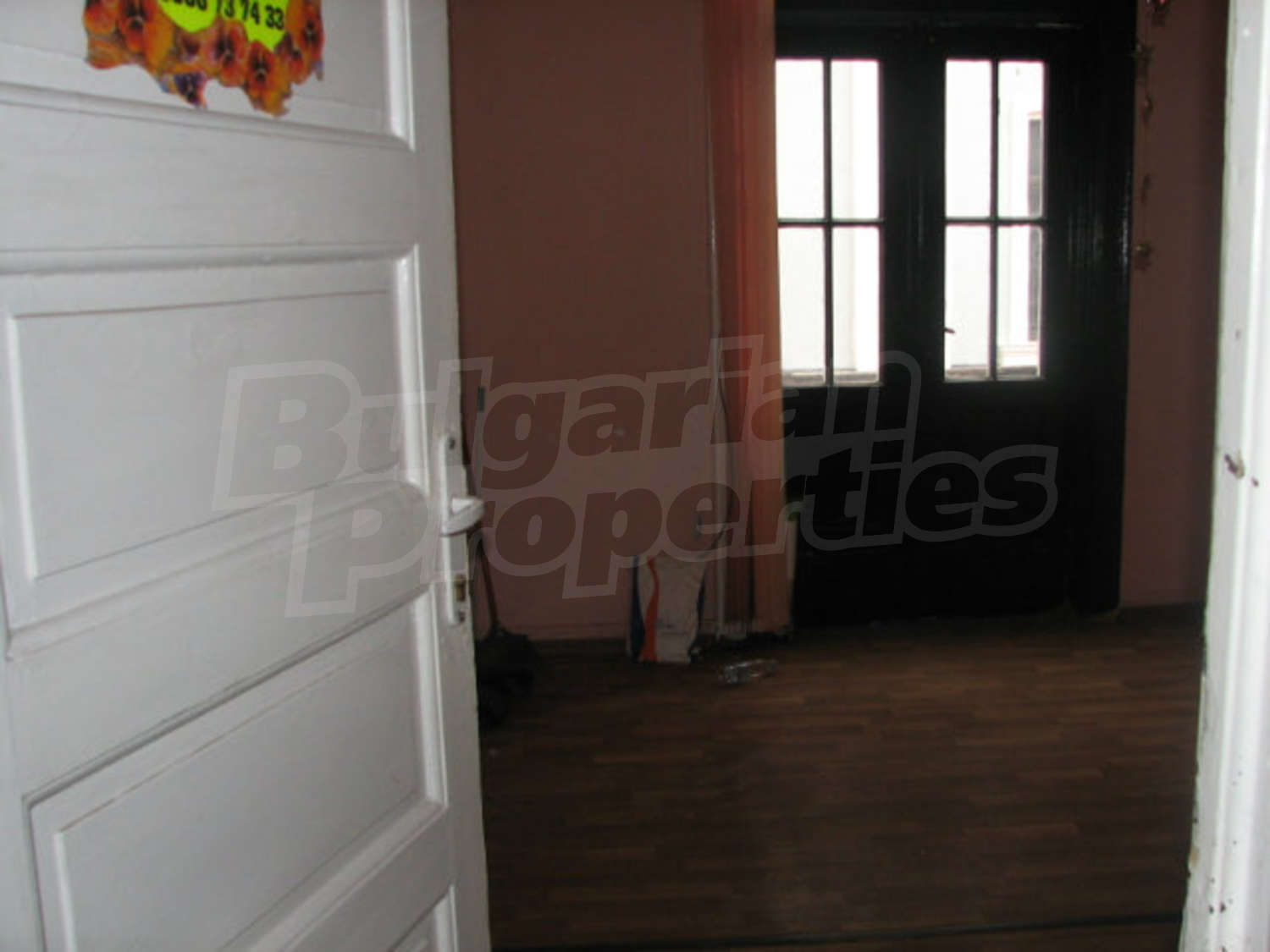 Gallery Picture 5