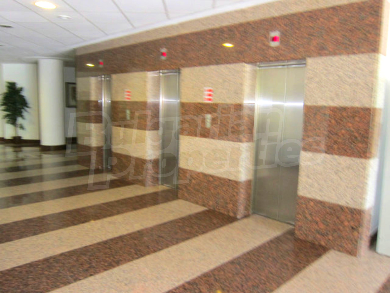 Gallery Picture 19