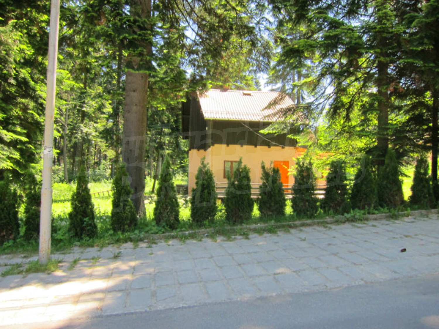 Gallery Picture 24