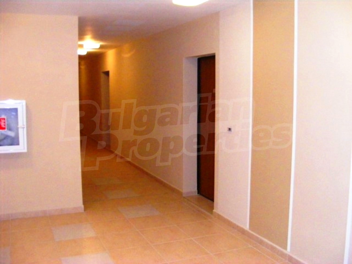 Gallery Picture 10