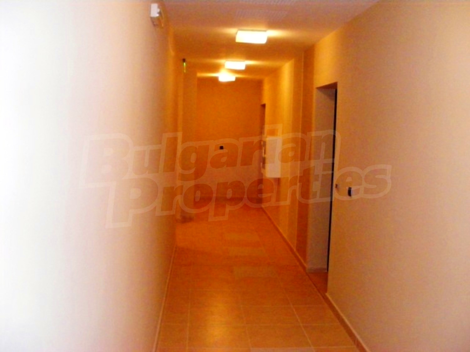 Gallery Picture 11