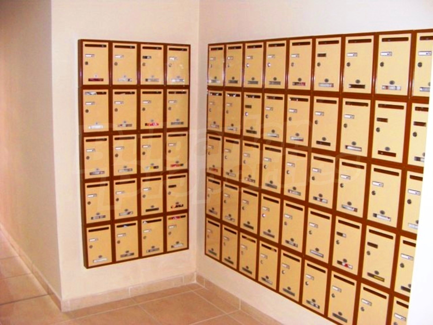 Gallery Picture 12