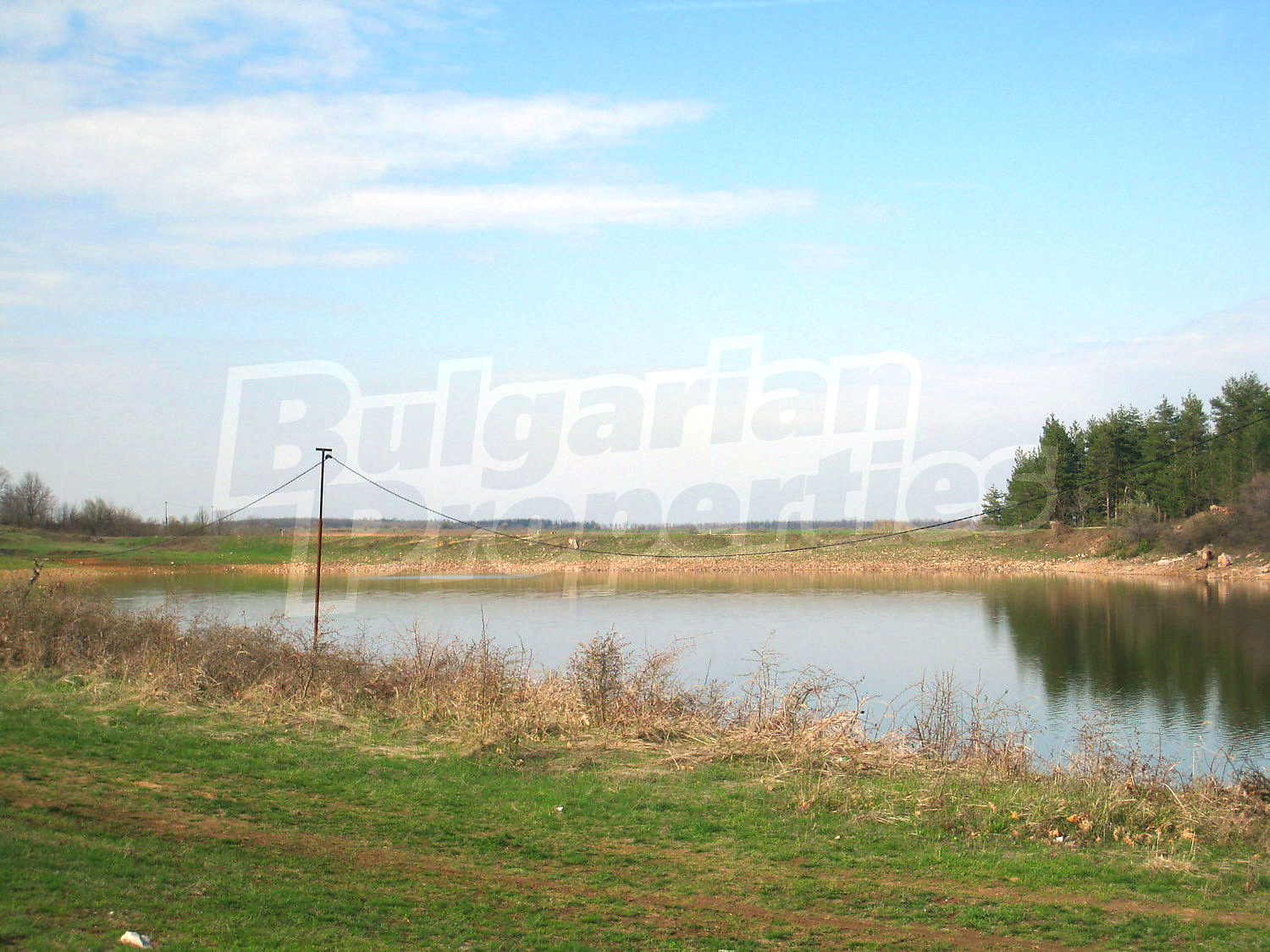 Gallery Picture 15
