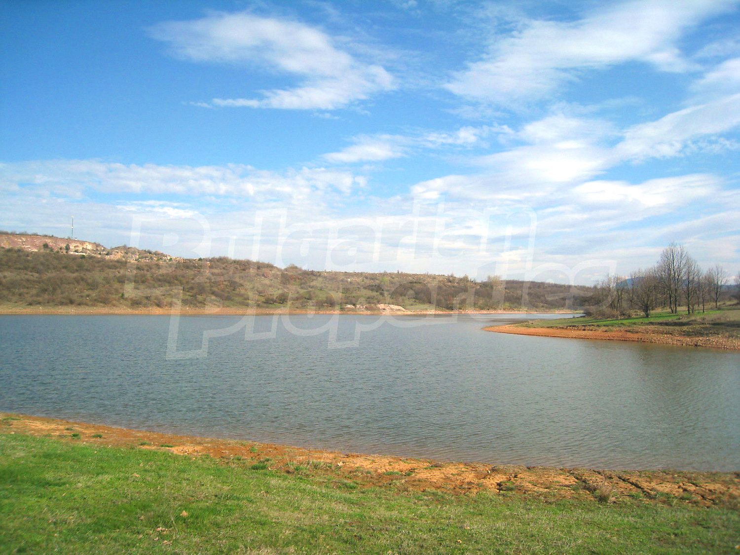 Gallery Picture 22