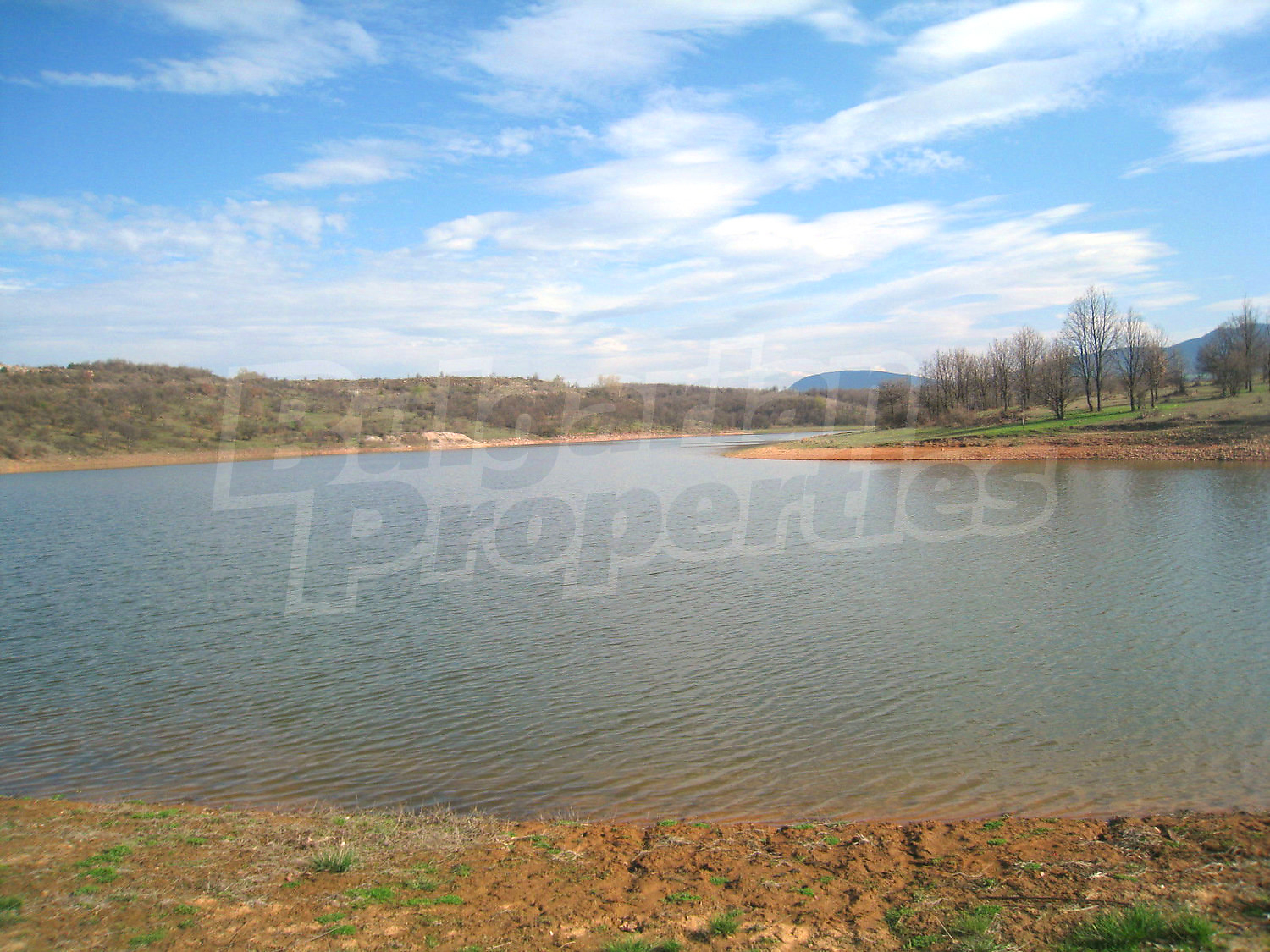 Gallery Picture 24